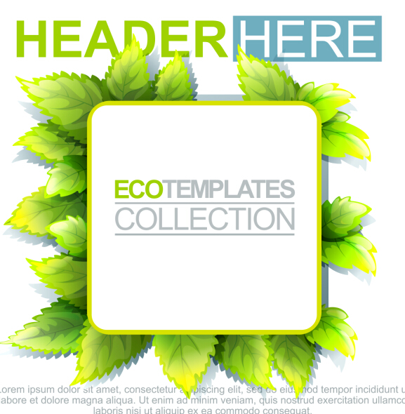 Eco labels with green leaves vector 08