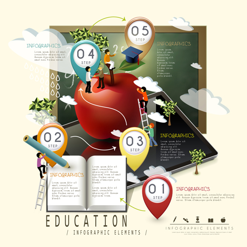 Education infographic template vector grapihcs 04