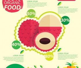 Flat fruits infographic vectors template 01