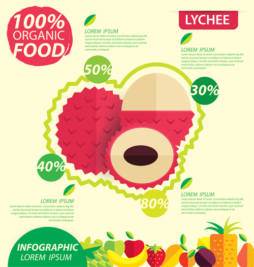 Flat fruits infographic vectors template 01