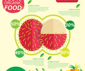 Flat fruits infographic vectors template 02
