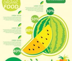 Flat fruits infographic vectors template 03