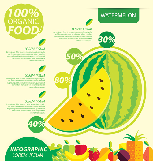 Flat fruits infographic vectors template 03
