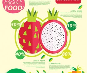 Flat fruits infographic vectors template 04