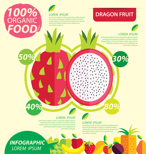 Flat fruits infographic vectors template 04