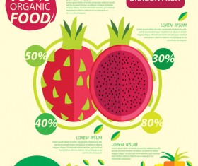Flat fruits infographic vectors template 06