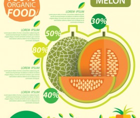Flat fruits infographic vectors template 07