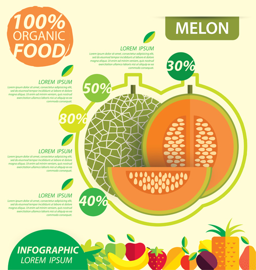 Flat fruits infographic vectors template 07