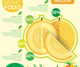 Flat fruits infographic vectors template 08