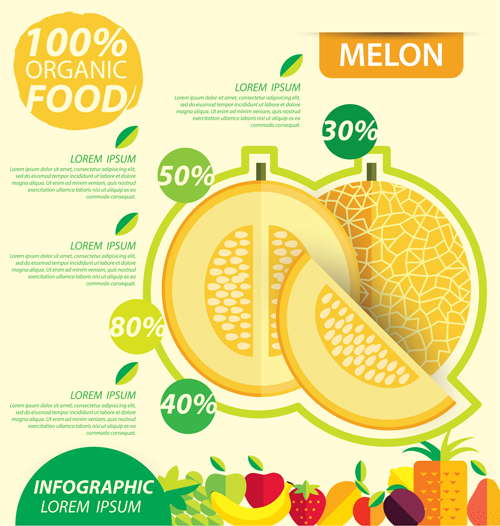 Flat fruits infographic vectors template 08