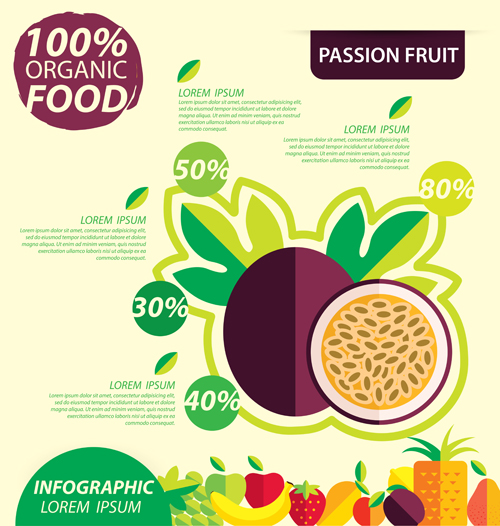 Flat fruits infographic vectors template 10
