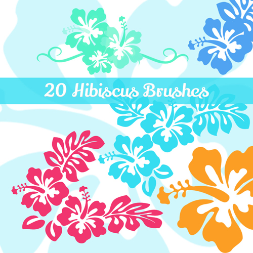 Free Hibiscus Flowers Photoshop Brushes