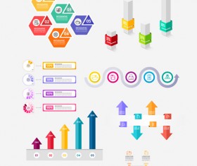 Infographic professional illustration vectors set 05