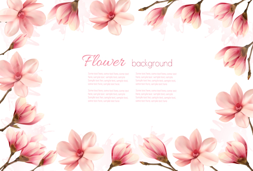 Pink magnolia flowers frame vector