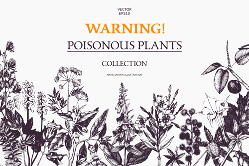 Poisonous plants warning poster vintage vector 01