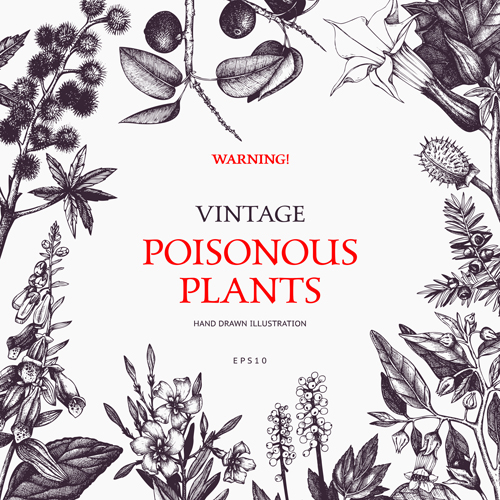 Poisonous plants warning poster vintage vector 02