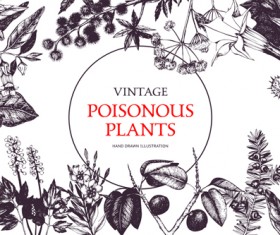 Poisonous plants warning poster vintage vector 03
