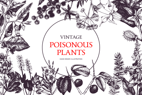 Poisonous plants warning poster vintage vector 03