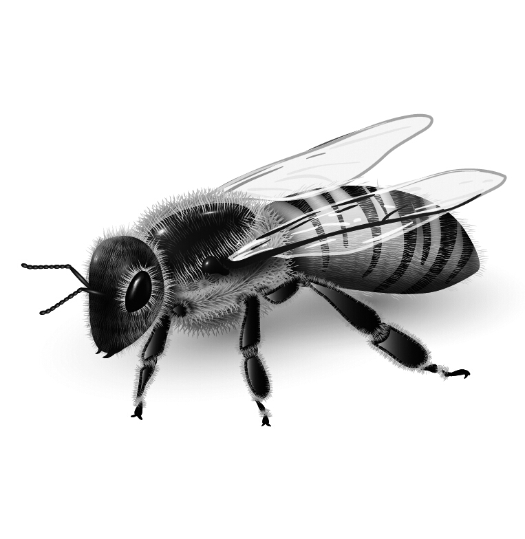 Realistic flies brushes