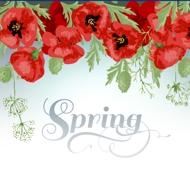 Red poppies with spring background vector 01