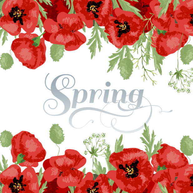 Red poppies with spring background vector 02
