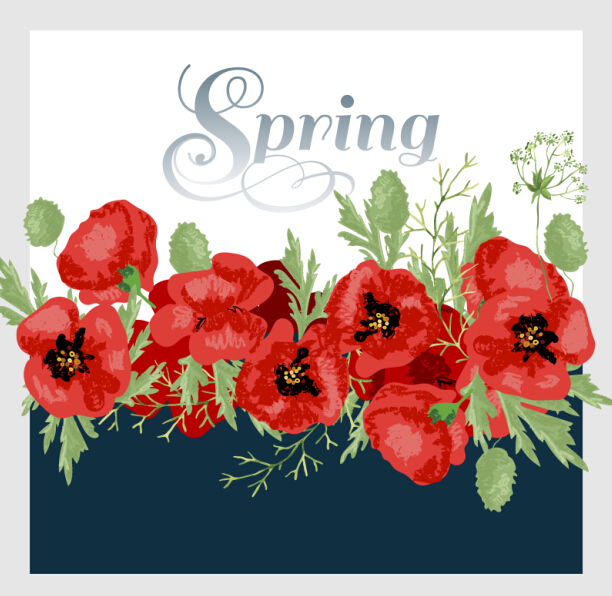 Red poppies with spring background vector 03