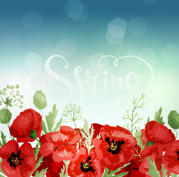 Red poppies with spring background vector 05