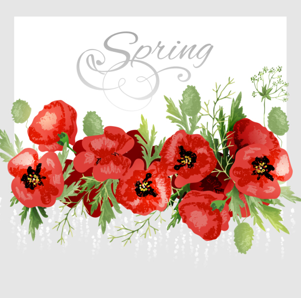 Red poppies with spring background vector 06