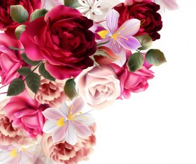 Roses and huasinth flowers vector illustration