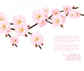 Sakura branch with spring background vector