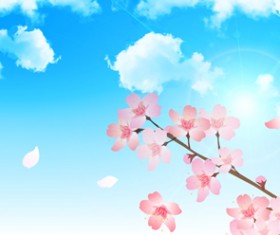 Sakura with blue sky vector background 08
