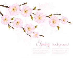 Spring background with pink sakura vector