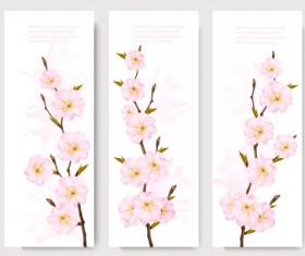 Spring banners with pink sakura vector material