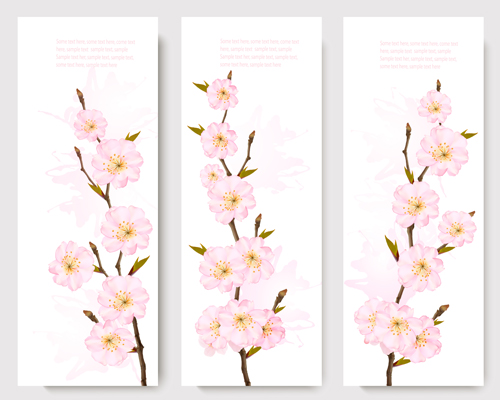 Spring banners with pink sakura vector material