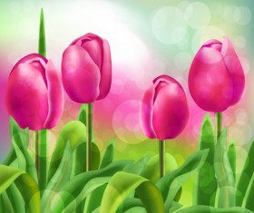 Spring flower beautiful backgrounds vectors 01