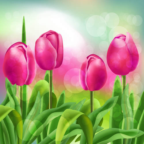 Spring flower beautiful backgrounds vectors 01
