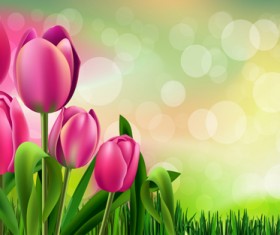 Spring flower beautiful backgrounds vectors 04