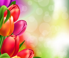 Spring flower beautiful backgrounds vectors 08