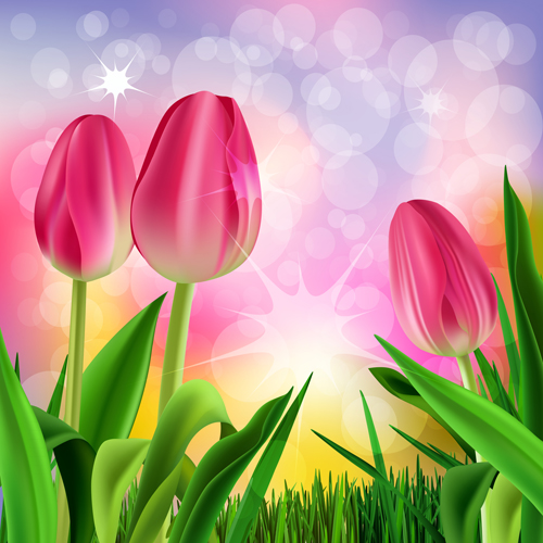 Spring flower beautiful backgrounds vectors 13