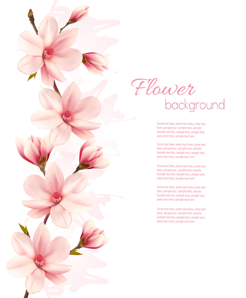 Spring nature background with pink magnolia vector