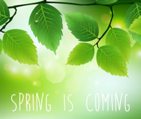 Spring sunlight with green leaves vector background 01