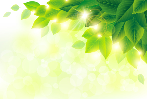 Spring sunlight with green leaves vector background 02