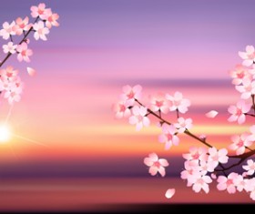Sunset with sakura vector background