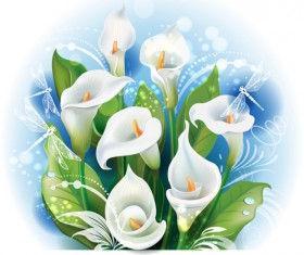 White calla with dragonfly vector material