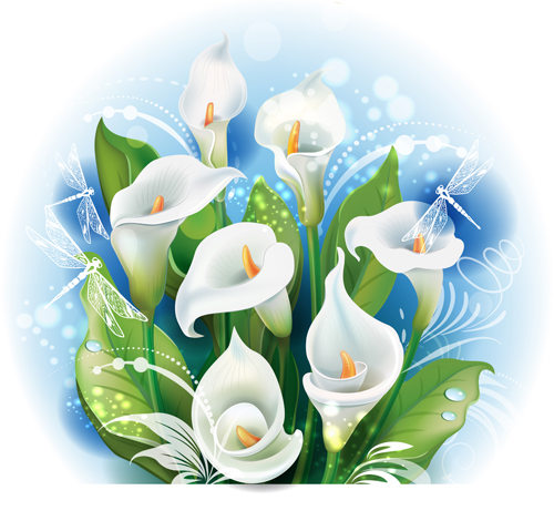 White calla with dragonfly vector material