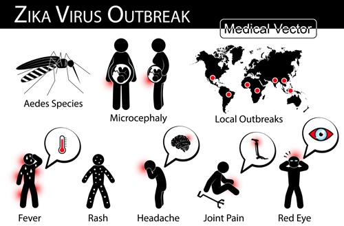 Zika virus symptom vector material