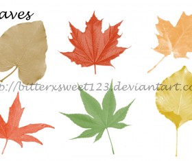 Autumn Leaves Photoshop Brushes set