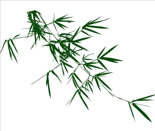Bamboo leaves photoshop brushes