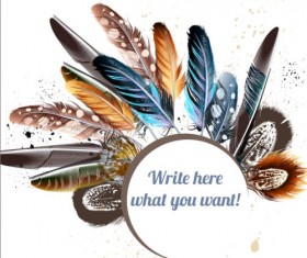 Beautiful feathers art background vector 02