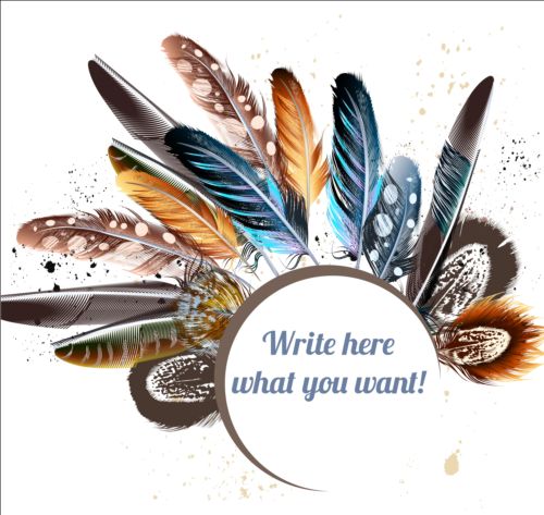 Beautiful feathers art background vector 02